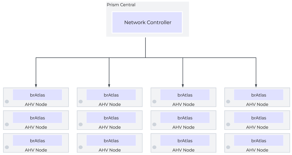 Network Controller Control Plane