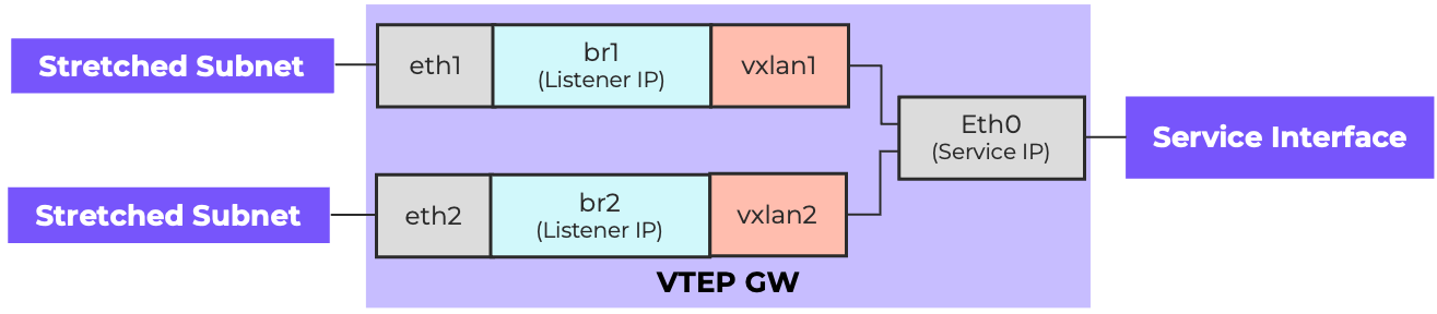 FVN VTEP
