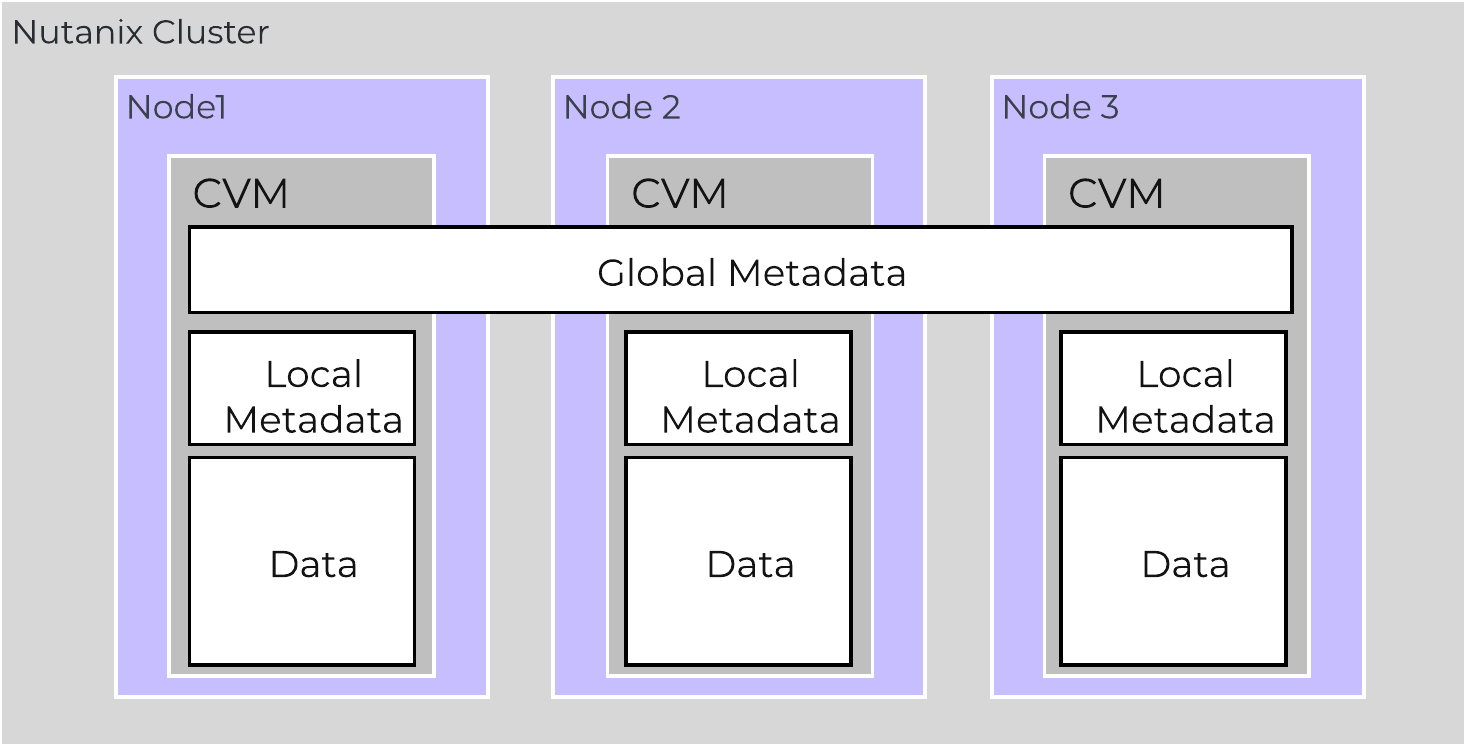 Global vs. Local Metadata